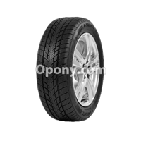 Davanti WINTOURA 195/55R16 91 H XL