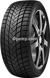 Delinte WD6 205/55R17 95 H